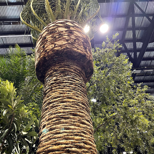 Landscape Design and Instillation